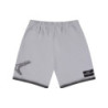 BADMAN SHORTS GREY